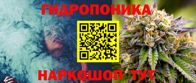 PSILOCYBIN Краснознаменск