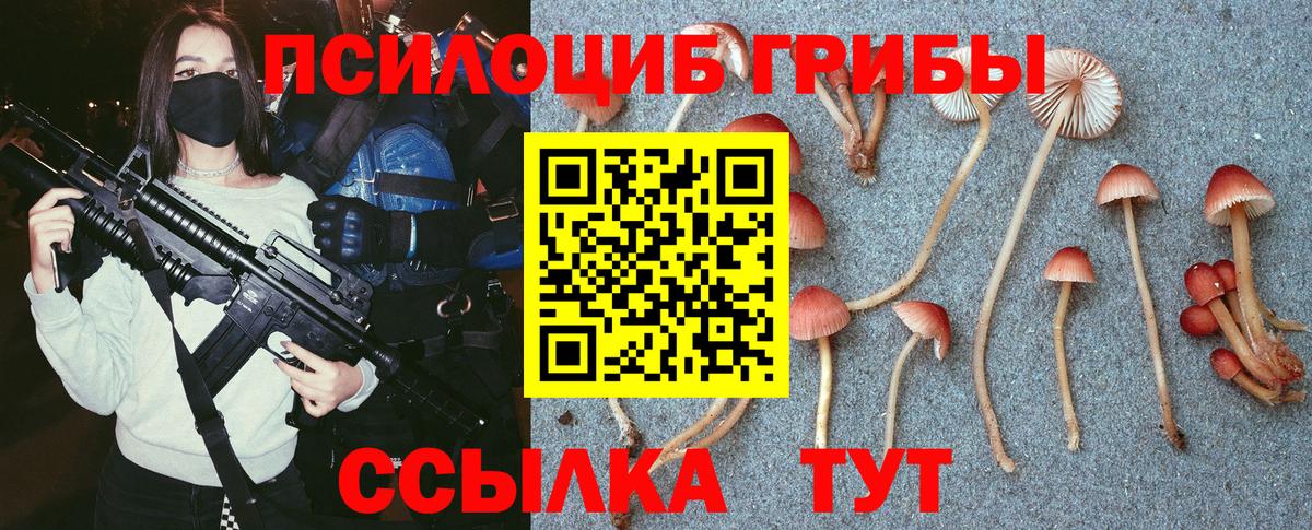 Галлюциногенные грибы MAGIC MUSHROOMS  Вход с VPN  Урюпинск  Галлюциногенные грибы Psilocybine cubensis 