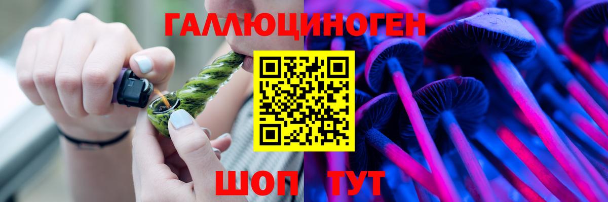 Псилоцибиновые грибы Psilocybe Урюпинск
